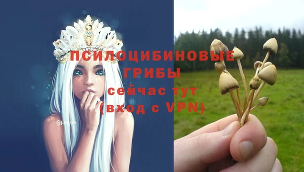 мдма Лиски